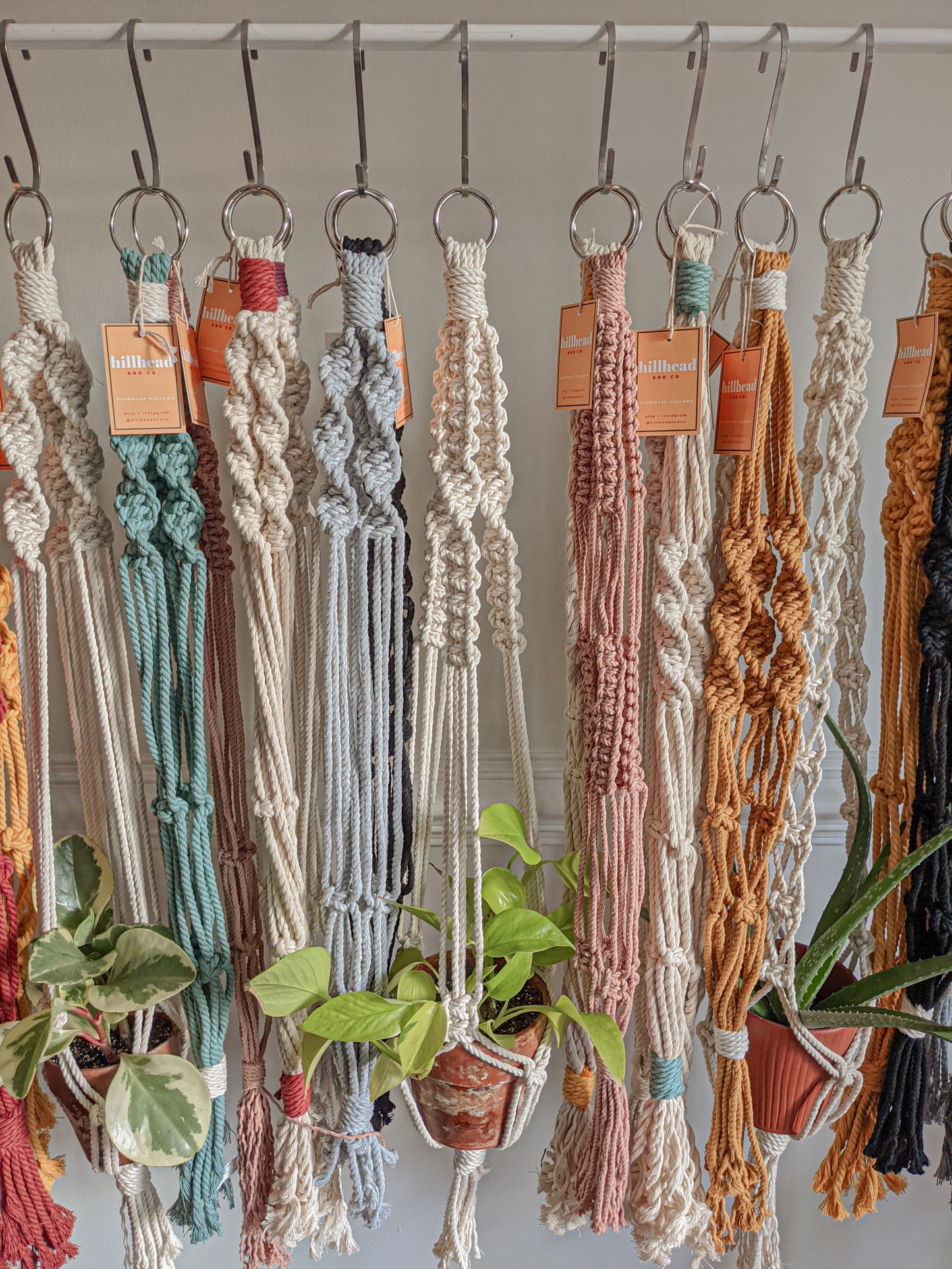 Macramé Plant Hanger Workshop | September 18 from 6-8p