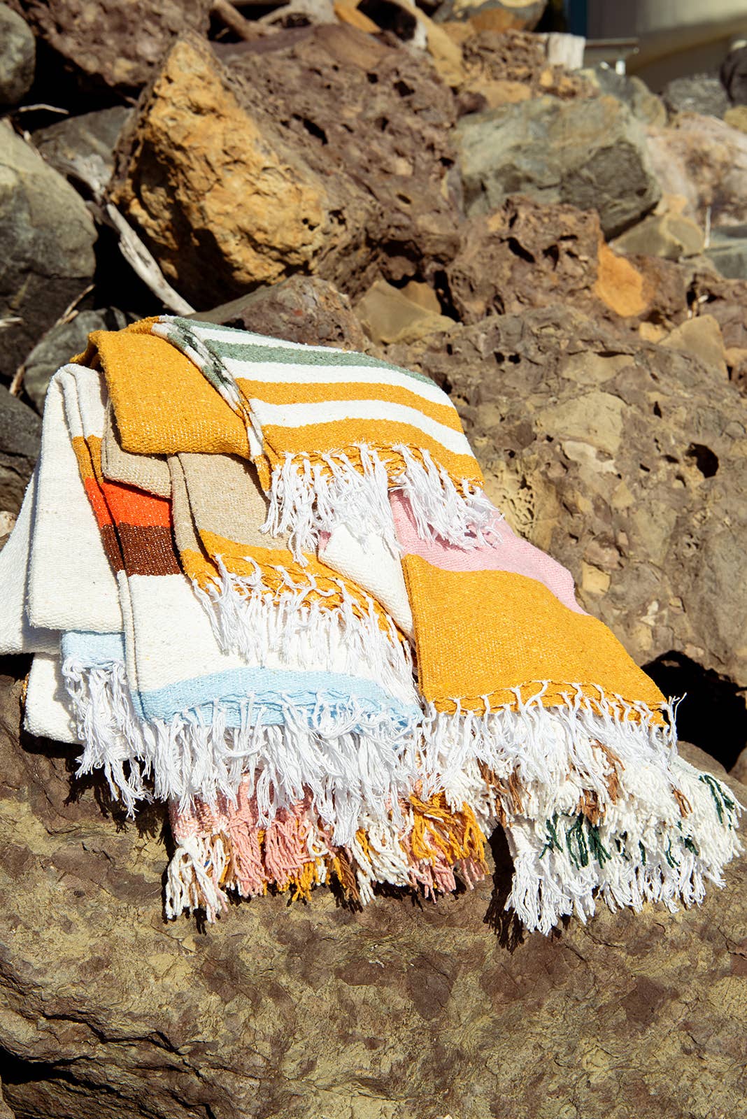 Vintage Desert Throw Blanket
