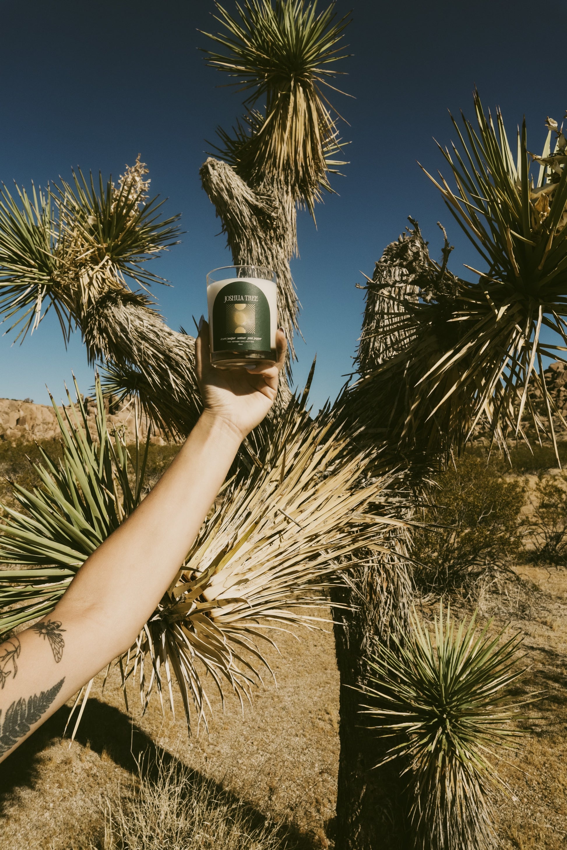 Joshua Tree candle in hand