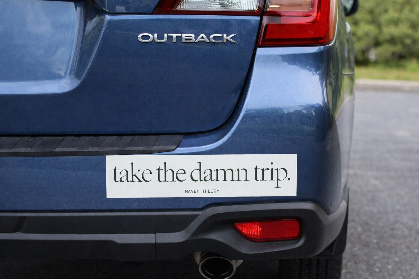 'Take the Damn Trip' Bumper Sticker